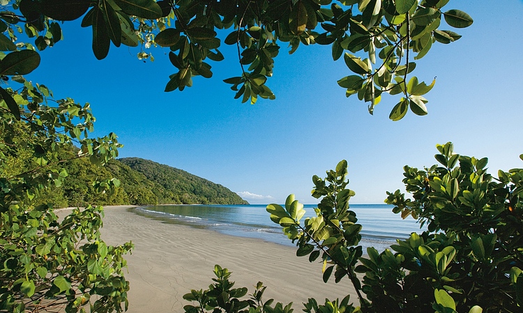 Beach walk in the Daintree Coast